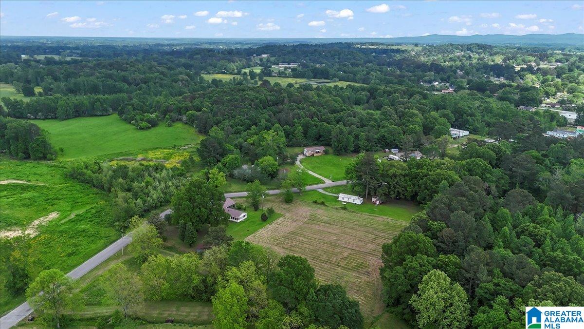 414 Edmondson Road Hanceville, AL 35077 - Photo 35 of 43