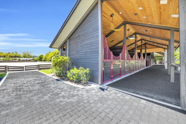 a view of a garden with plants