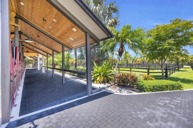 a view of a park with large trees