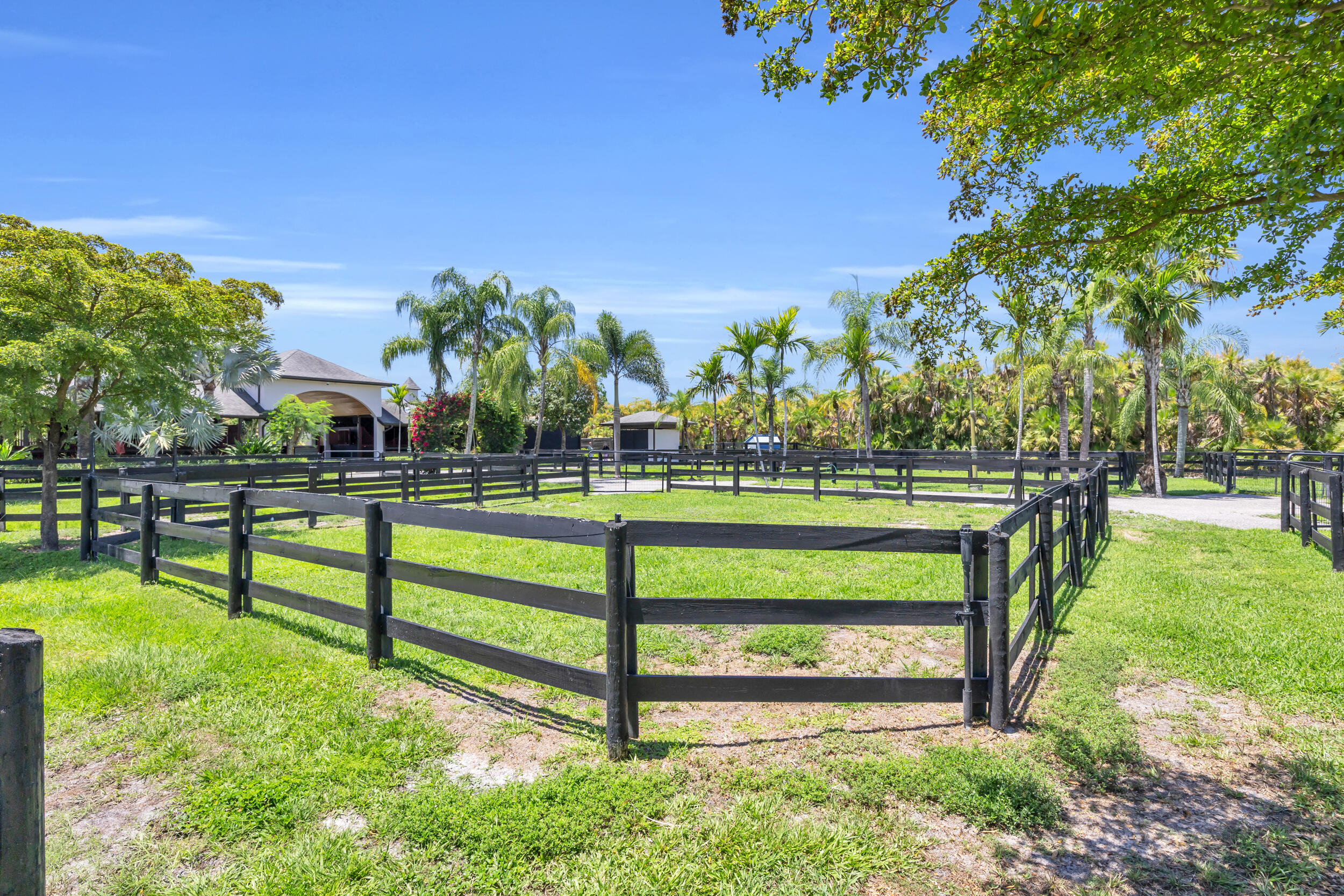 12880 Indian Mound Road Wellington, FL 33449 - Photo 24 of 43 a view of a garden with plants