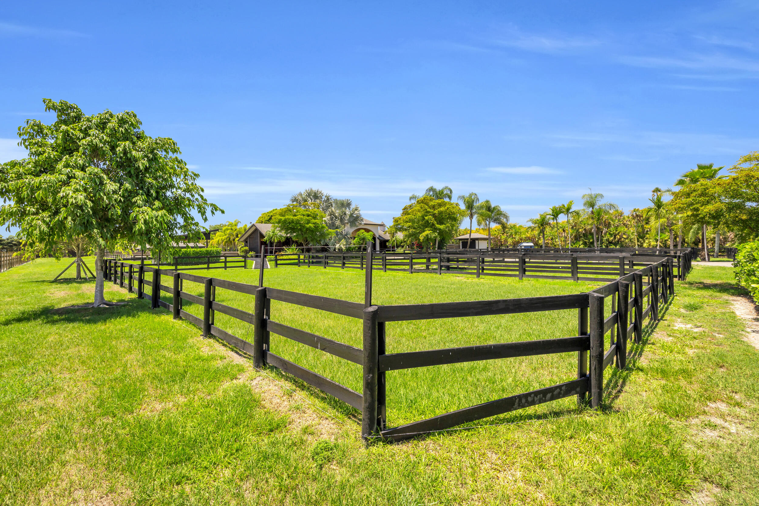 12880 Indian Mound Road Wellington, FL 33449 - Photo 25 of 43 a view of a park with large trees