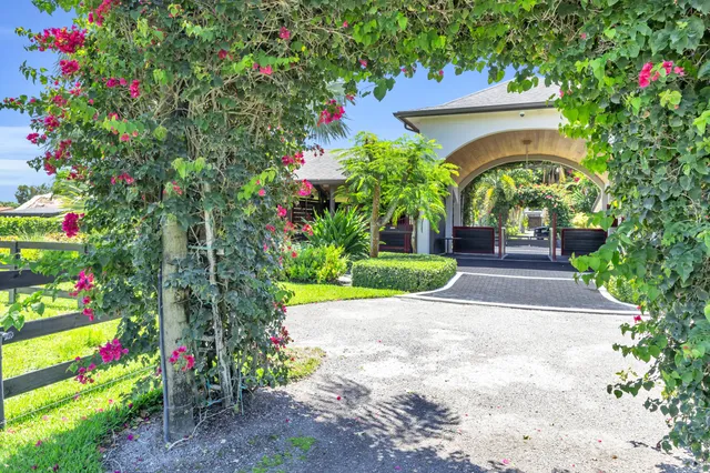 a view of statue in a garden