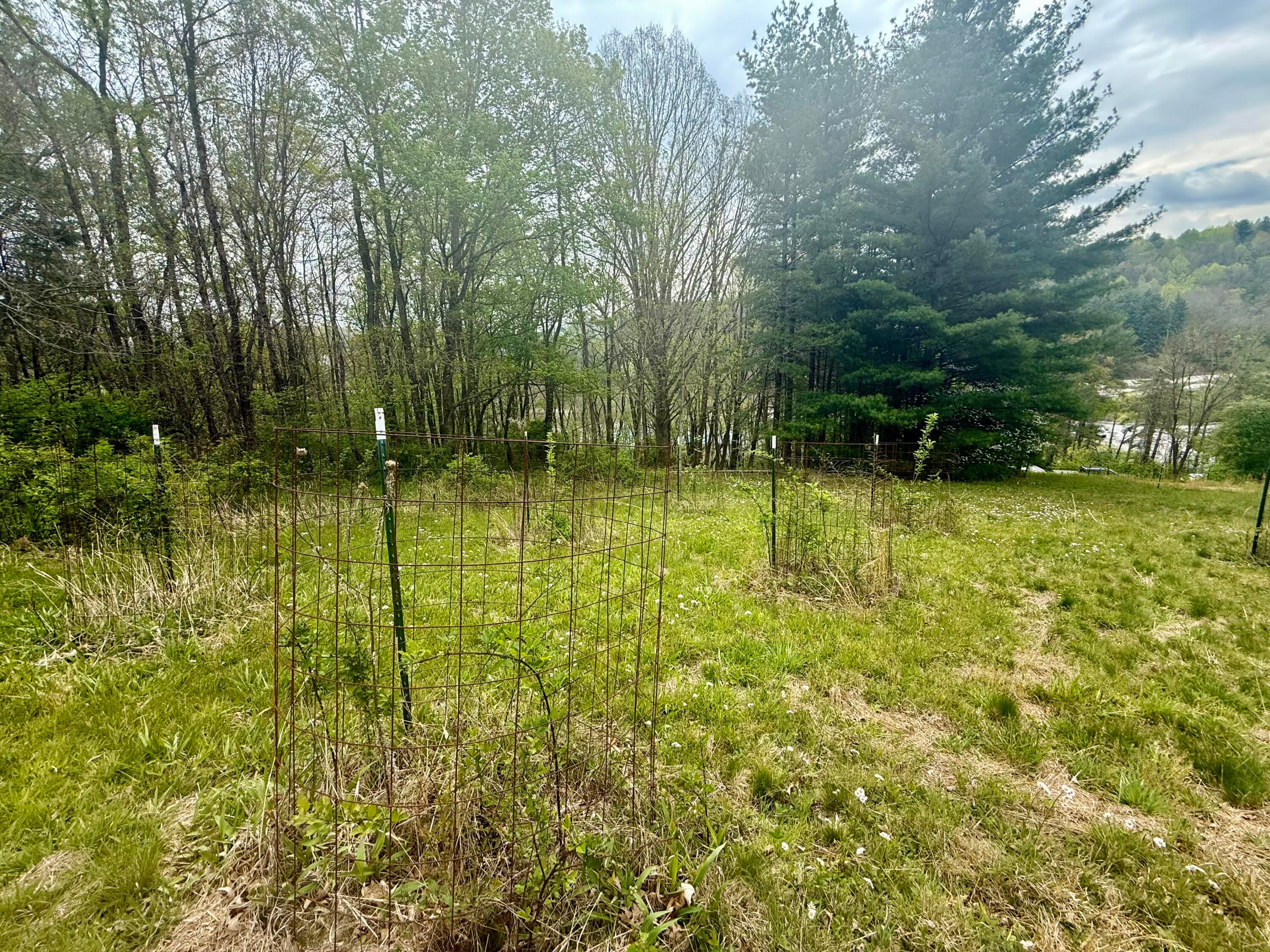 2770 Maple Acres Road Princeton, WV 24739 - Photo 32 of 46 IMG_2322