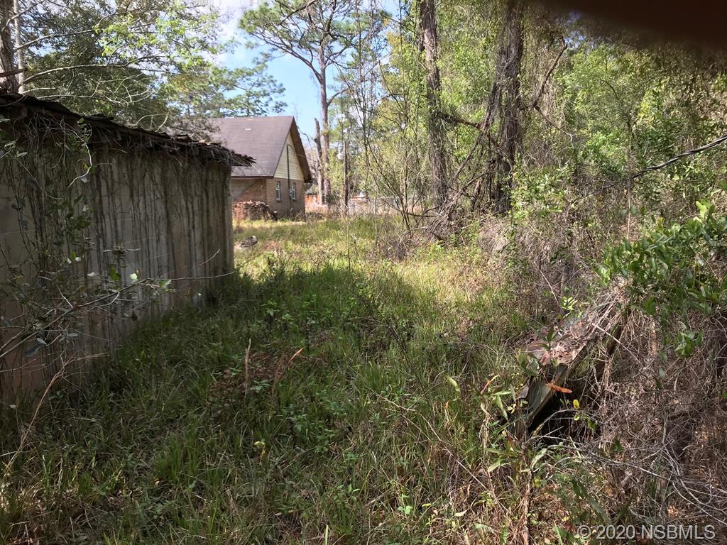 228 Baden Powell Road Hawthorne, FL 32640 - Photo 19 of 24 Gallery Image 19