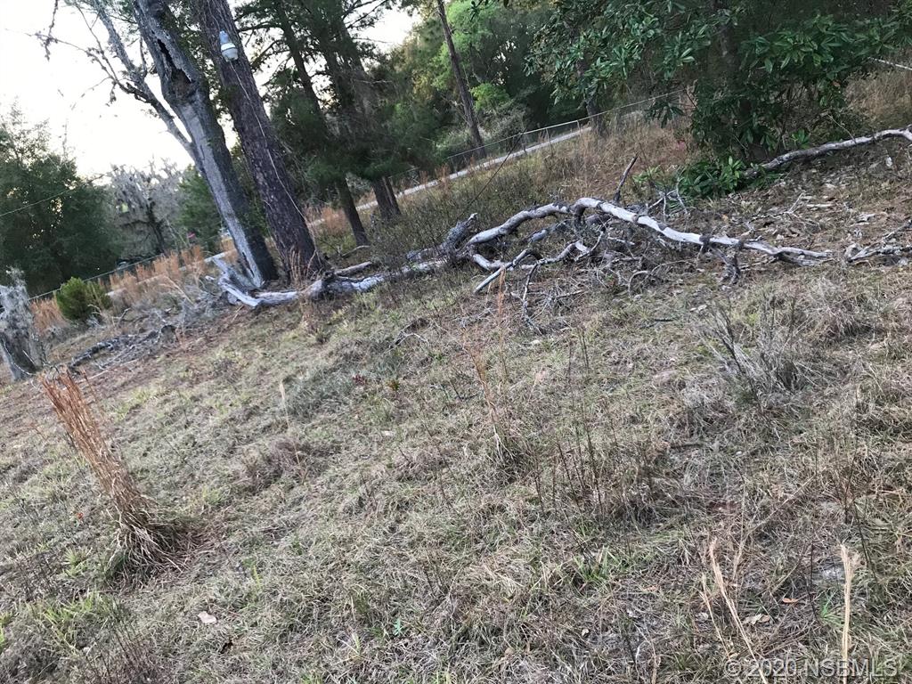 228 Baden Powell Road Hawthorne, FL 32640 - Photo 20 of 24 Gallery Image 20