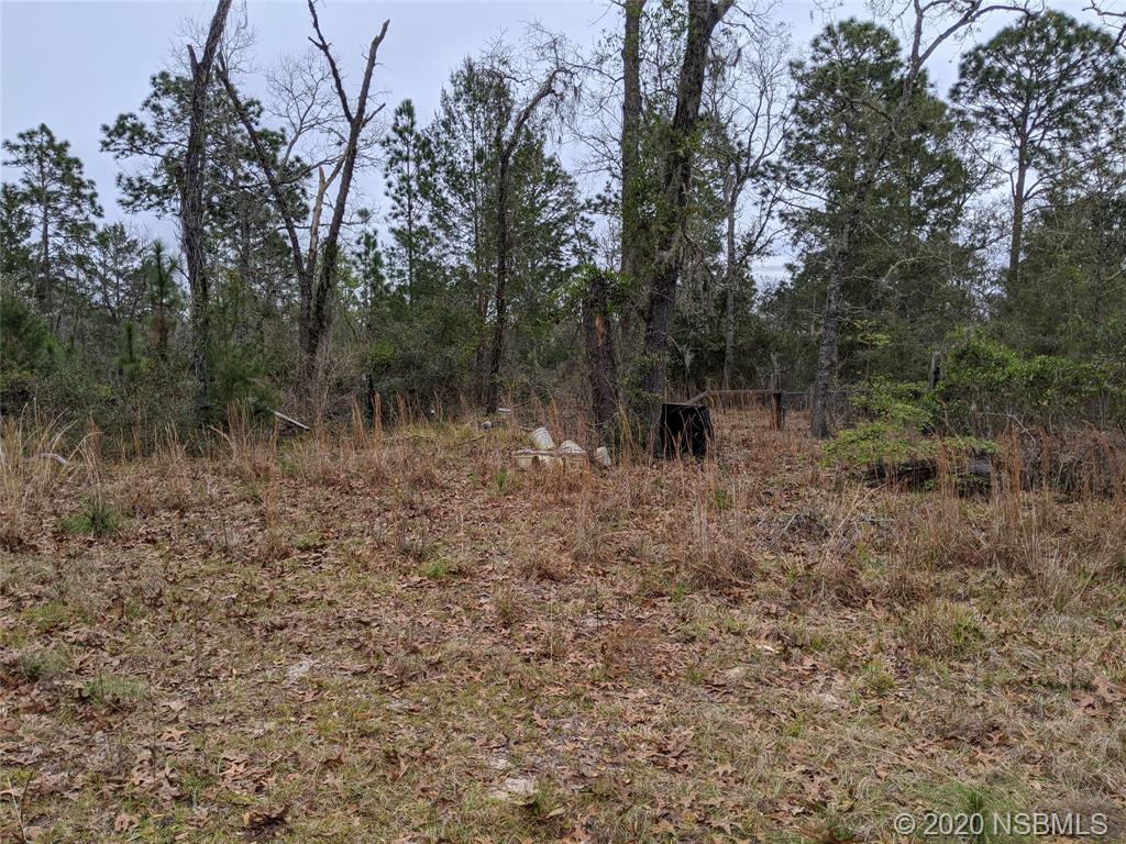 228 Baden Powell Road Hawthorne, FL 32640 - Photo 22 of 24 Gallery Image 22