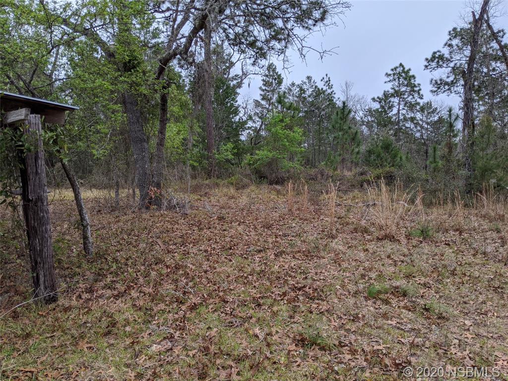 228 Baden Powell Road Hawthorne, FL 32640 - Photo 23 of 24 Gallery Image 23