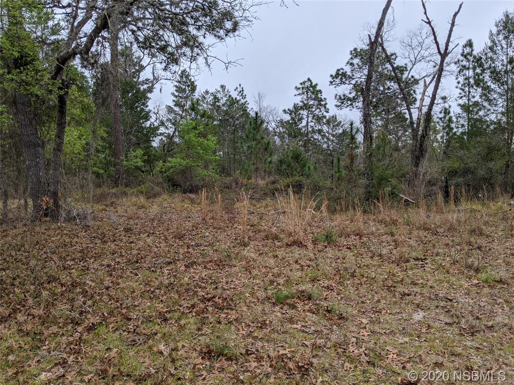 228 Baden Powell Road Hawthorne, FL 32640 - Photo 24 of 24 Gallery Image 24