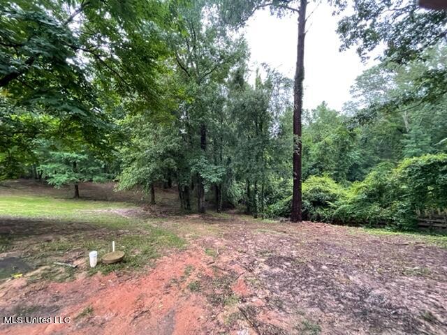1555 Monterey Road Florence, MS 39073 - Photo 27 of 30 IMG_9211