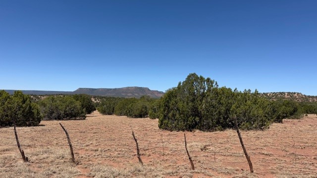 B55 Ribera Nm 87565 Ribera, NM 87560 - Photo 17 of 27