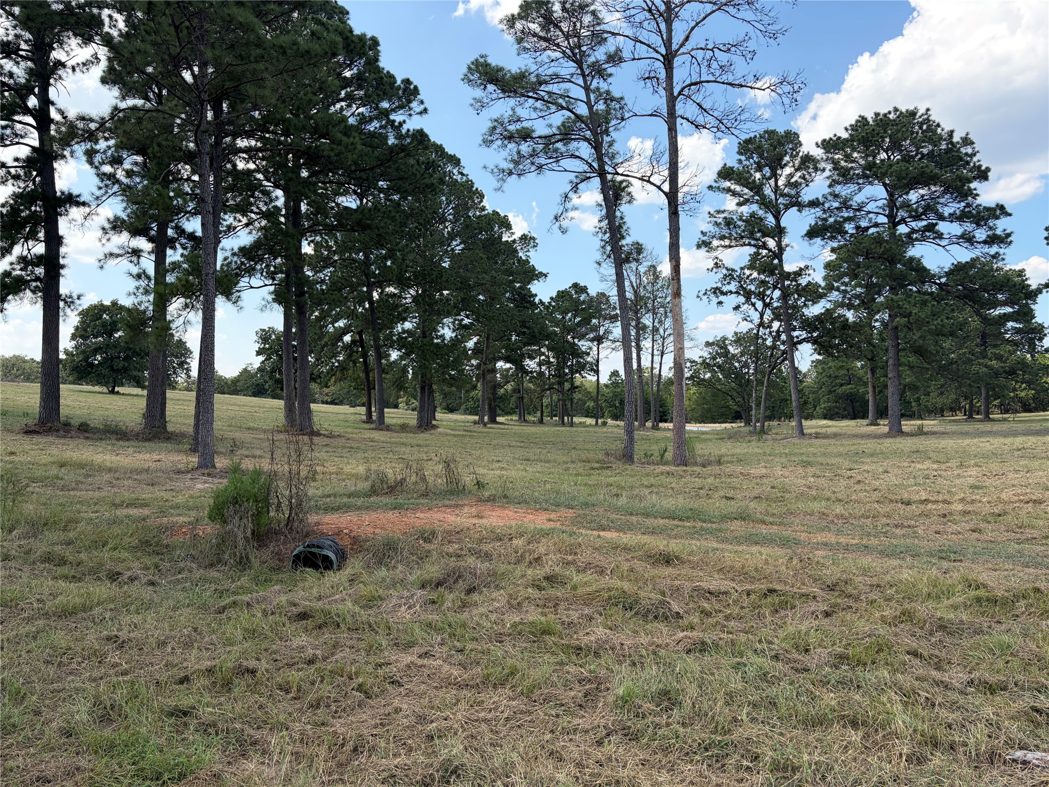 170 Split Oak Road Smithville, TX 78957 - Photo 11 of 31 Generous acreage shaded by mature trees offers a serene backdrop for future development.