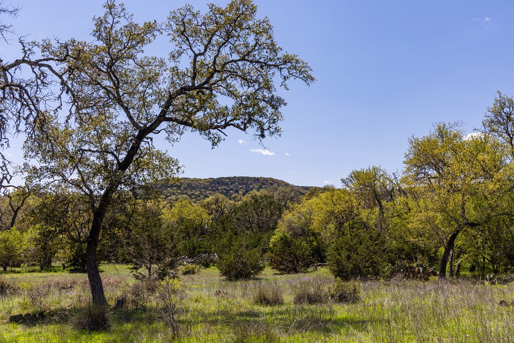 0 Fm 2107 Medina, TX 78055 - Photo 2 of 15