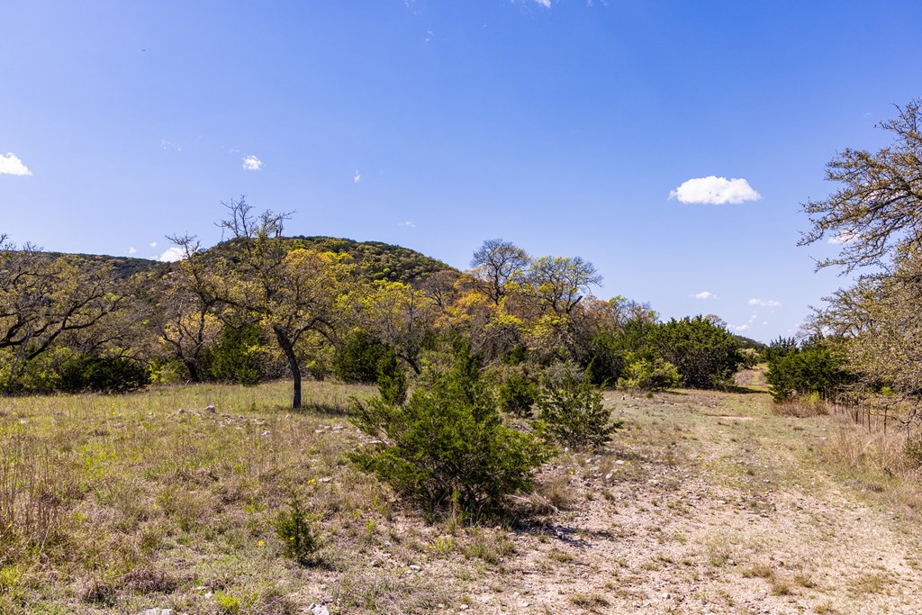 0 Fm 2107 Medina, TX 78055 - Photo 3 of 15