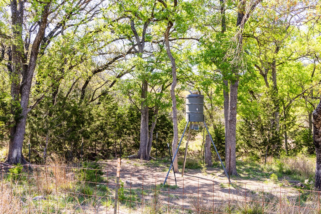 0 Fm 2107 Medina, TX 78055 - Photo 5 of 15
