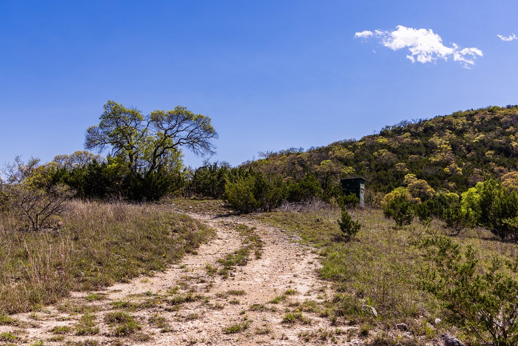 0 Fm 2107 Medina, TX 78055 - Photo 7 of 15