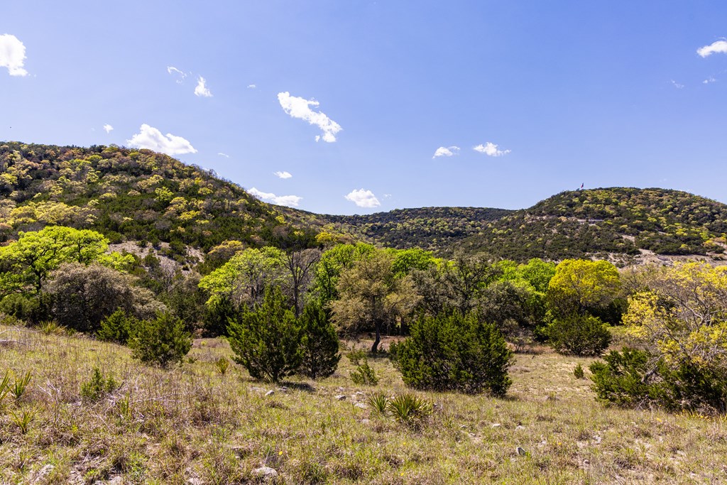 0 Fm 2107 Medina, TX 78055 - Photo 8 of 15