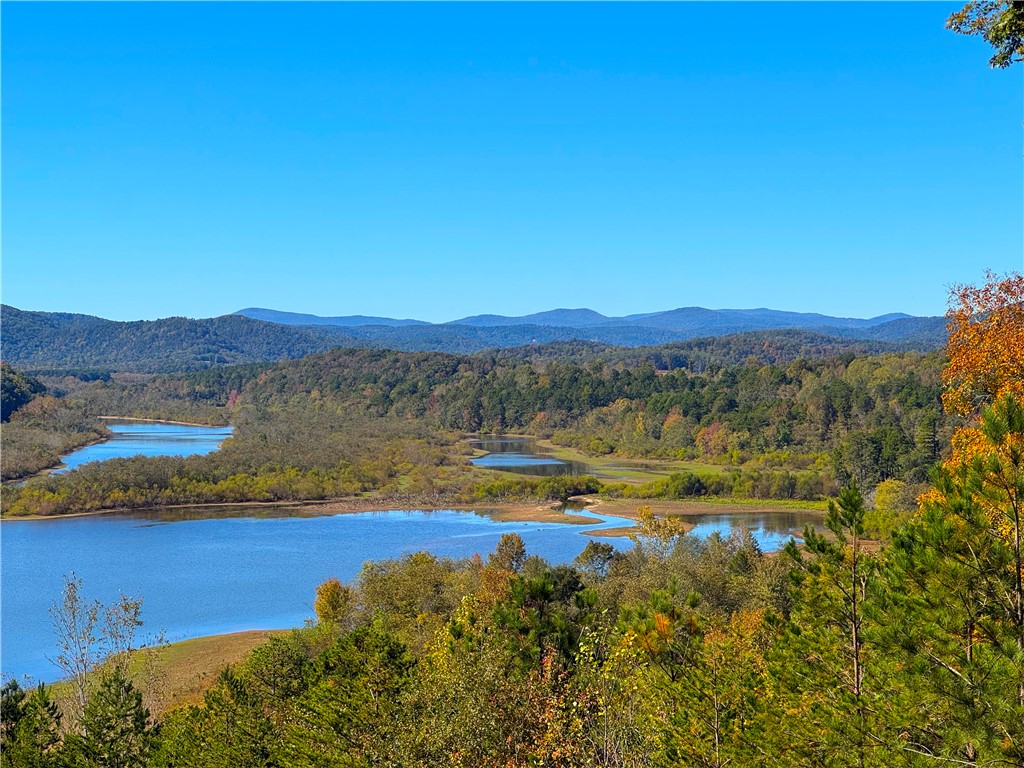 284 River Road Westminster, SC 29693 - Photo 33 of 47