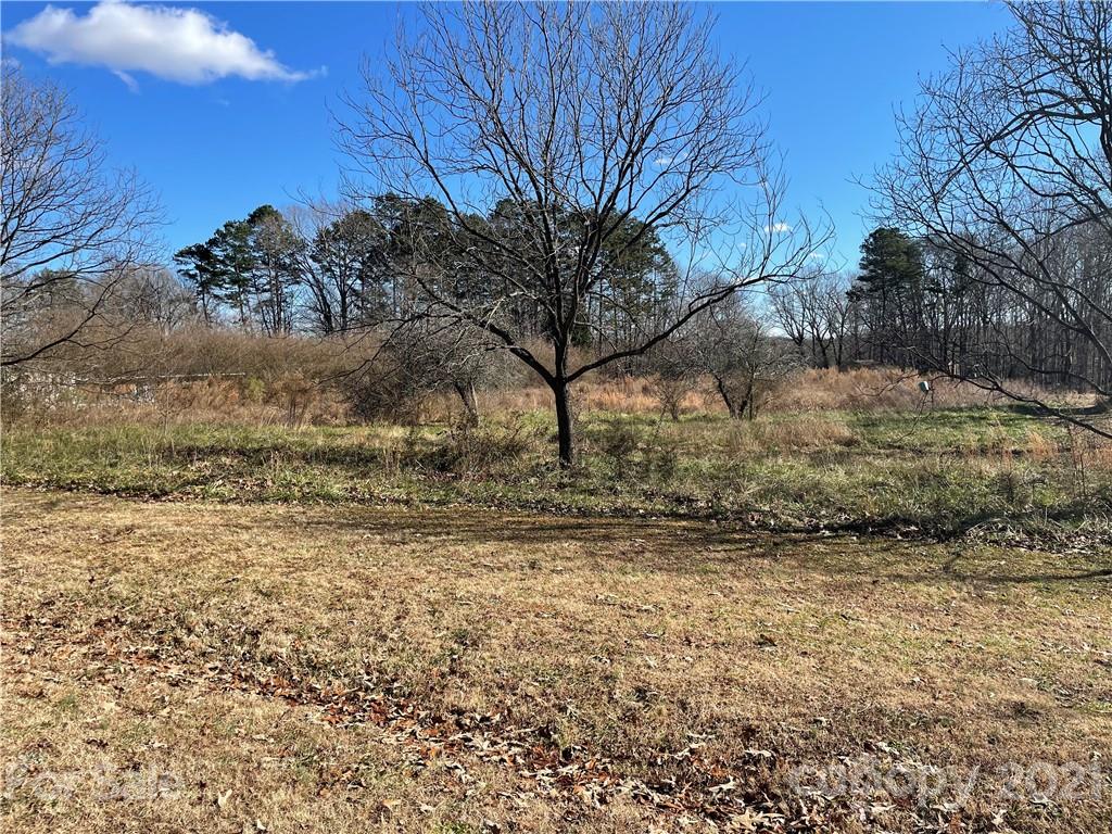 0 Upper Spencer Mountain Road Stanley, NC 28164 - Photo 3 of 7 a view of a yard with a tree