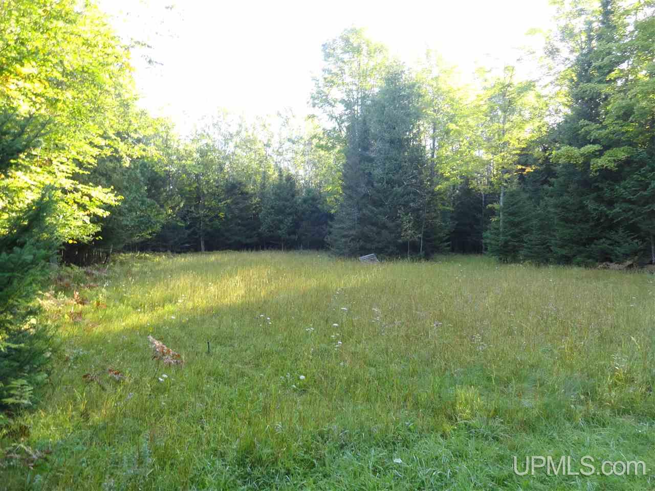 9490 Co Road Cornell, MI 49818 - Photo 20 of 36