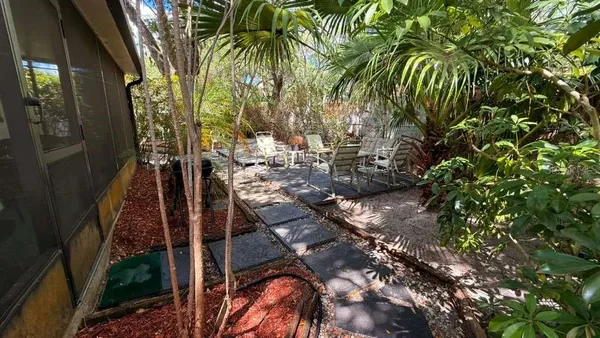 a view of a yard with plants and large trees