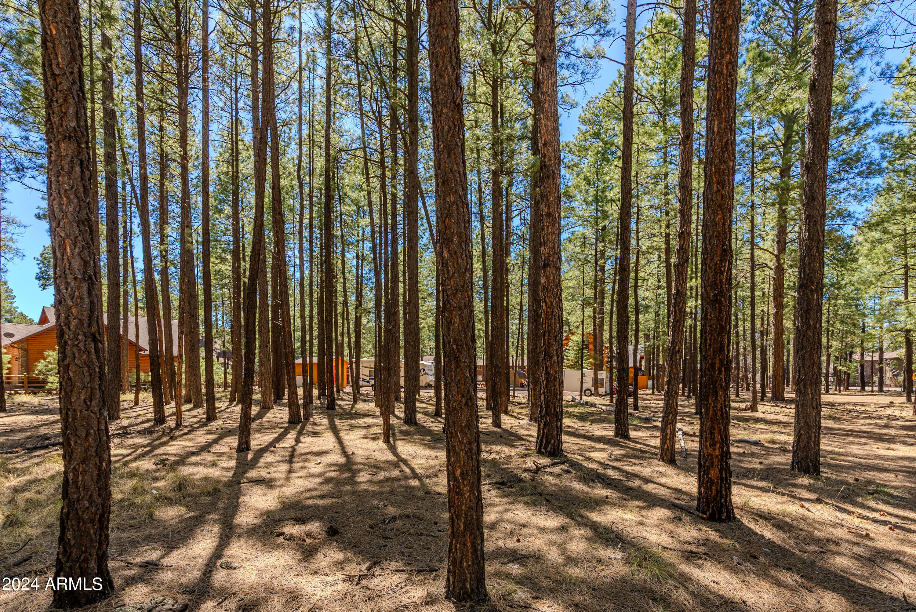 4583 Sky Hi Road Pinetop, AZ 85935 - Photo 26 of 30 4583 Sky Hi-26
