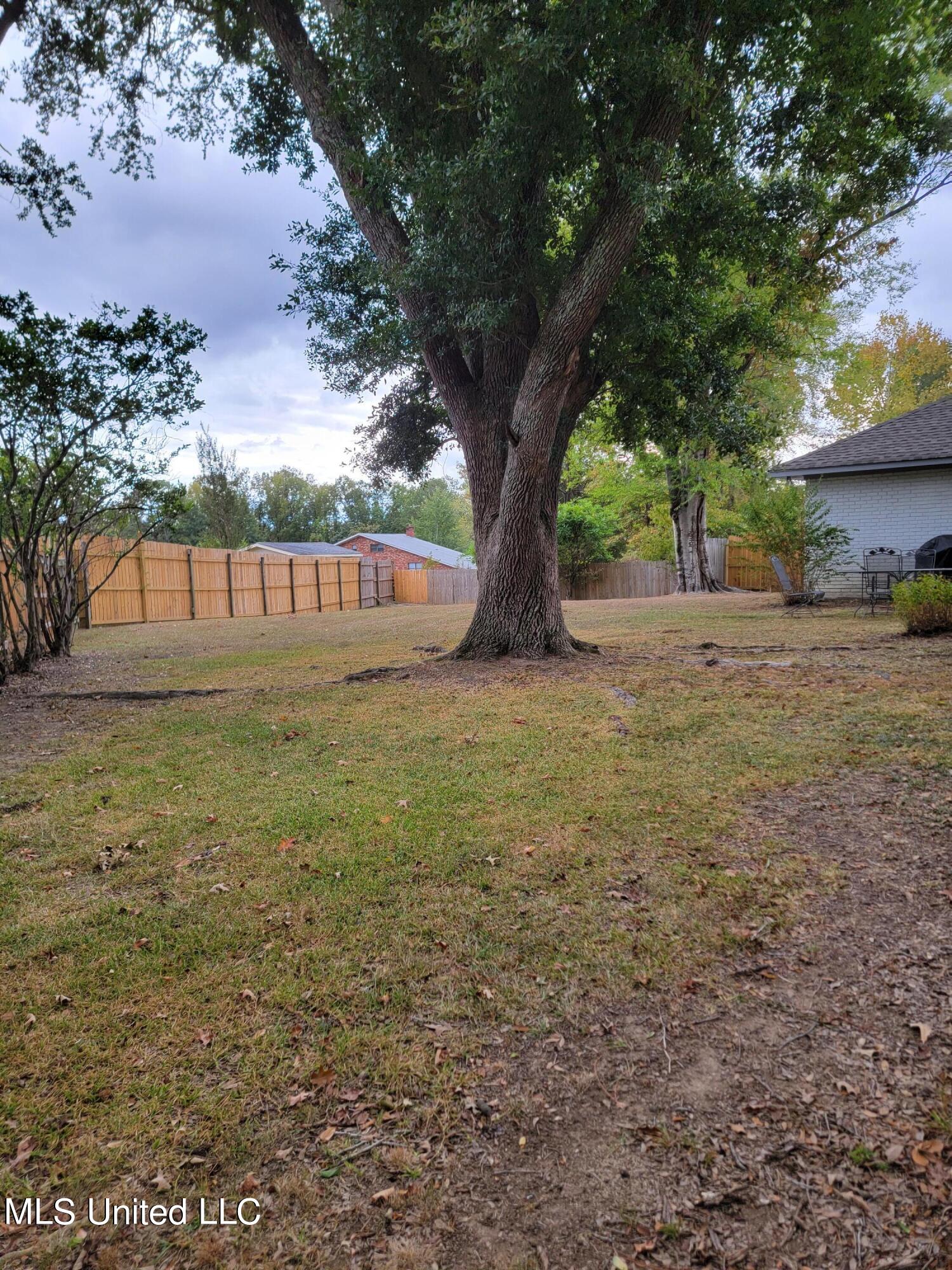 907 Rutherford Drive Jackson, MS 39206 - Photo 50 of 53 20231015_161830