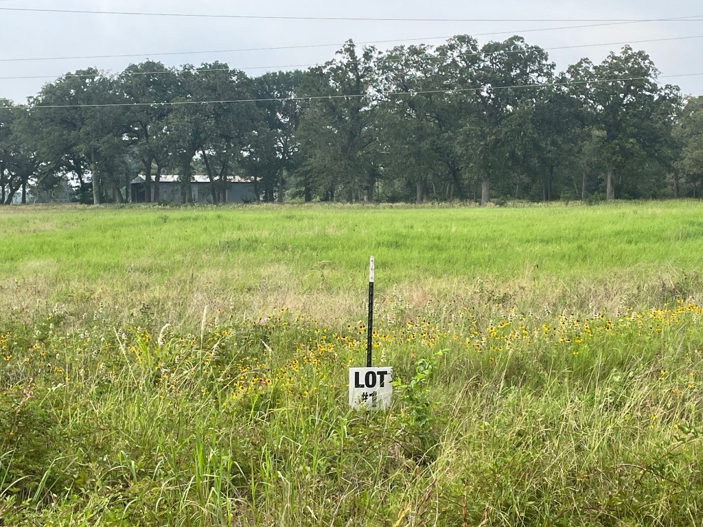 Tbd Lot 1 Tbd Road Smithville, TX 78957 - Photo 1 of 1