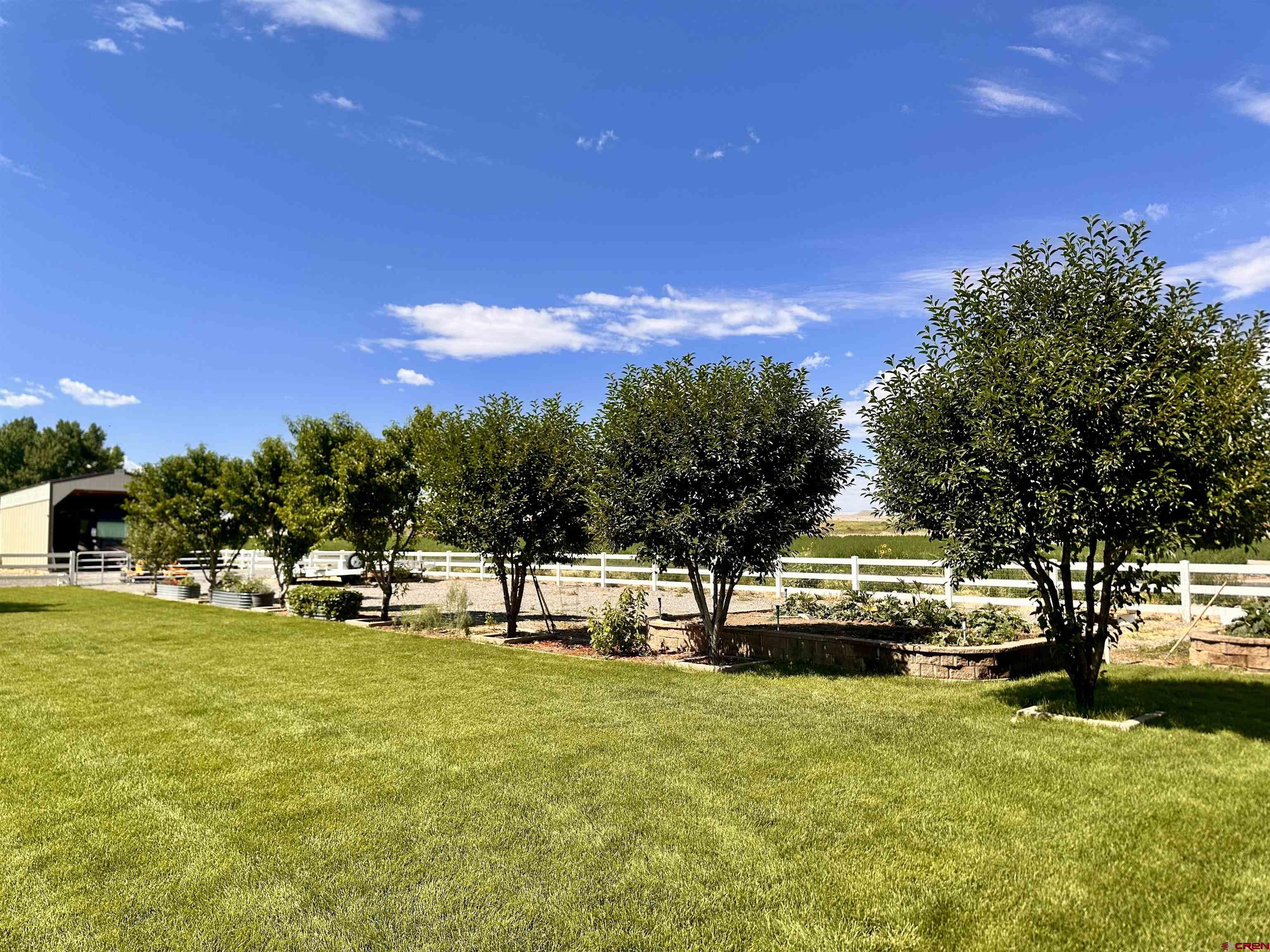 1889 Snaffle Bit Road Delta, CO 81416 - Photo 35 of 45 a view of yard with swimming pool and trees