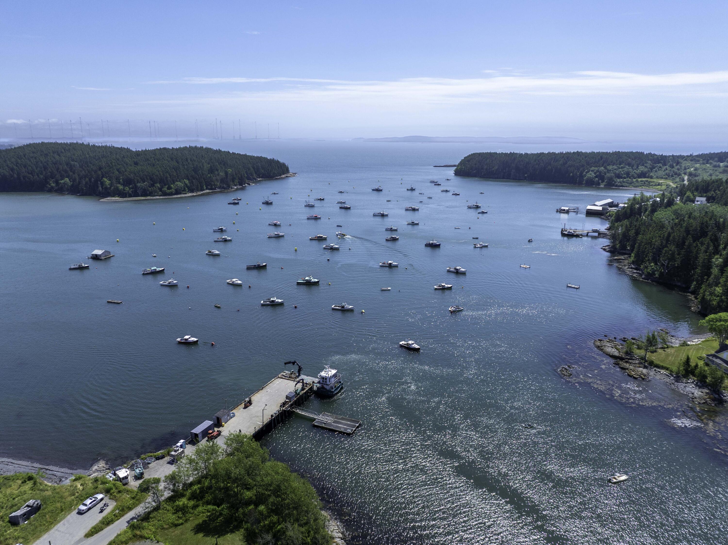 1323 Port Road Machiasport, ME 04655 - Photo 4 of 32 Harbor