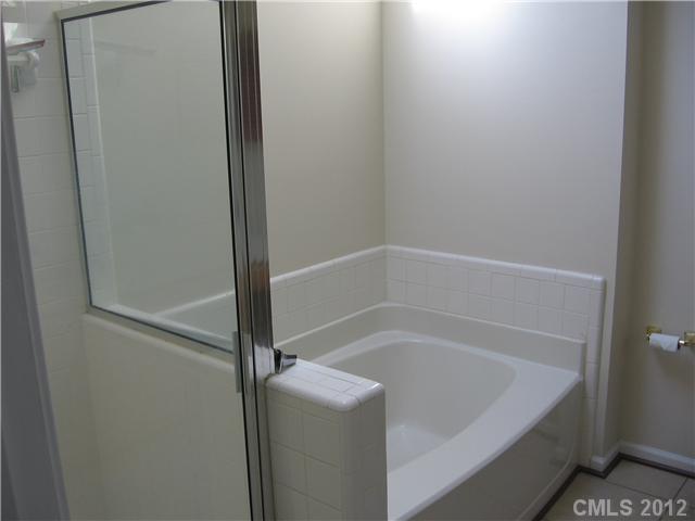 9319 Cedar River Road Huntersville, NC 28078 - Photo 8 of 14