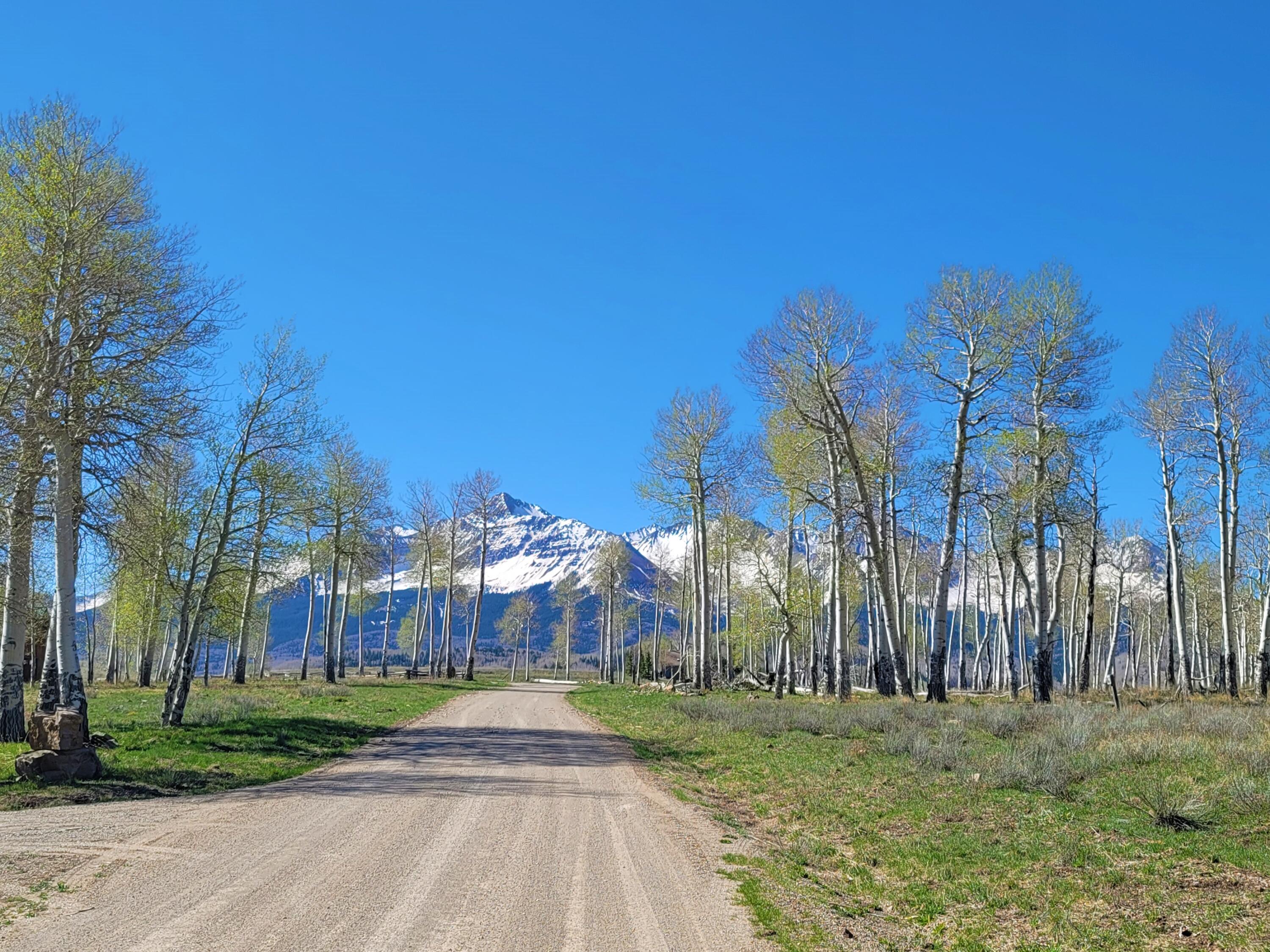 Tbd Lot 88 East Anderson Road Placerville, CO 81430 - Photo 2 of 11 a view of a park with large trees