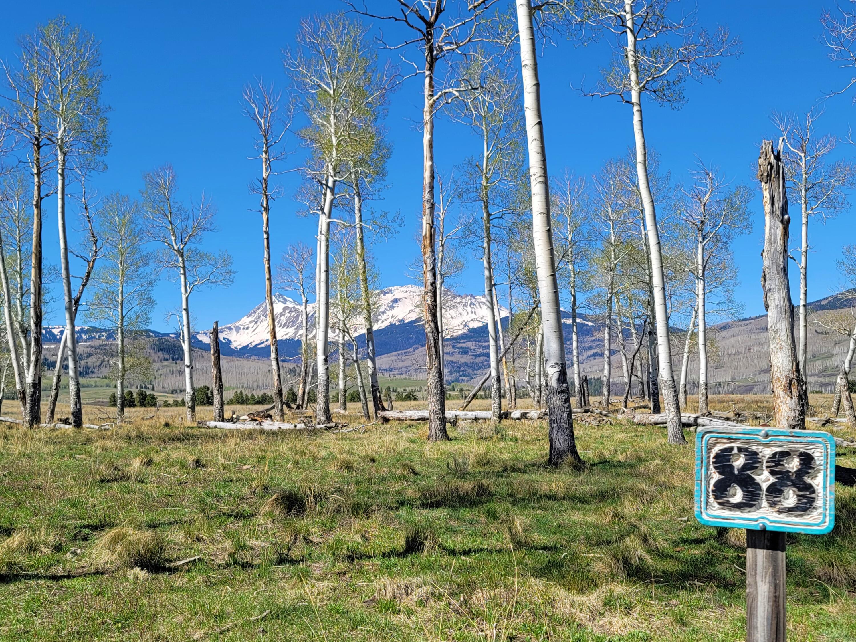 Tbd Lot 88 East Anderson Road Placerville, CO 81430 - Photo 3 of 11