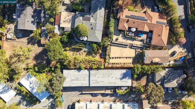a view of a street with a tree