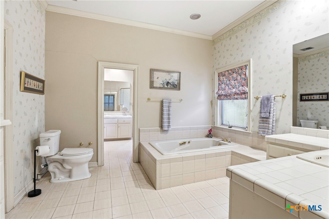 21759 Forest Waters Circle Garden Ridge, TX 78266 - Photo 18 of 30 a bathroom with a sink a toilet and a bathtub