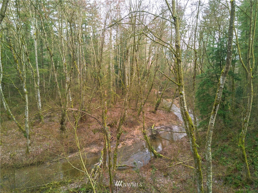 2340 Burk Road Blaine, WA 98230 - Photo 14 of 21 Gallery Image 14