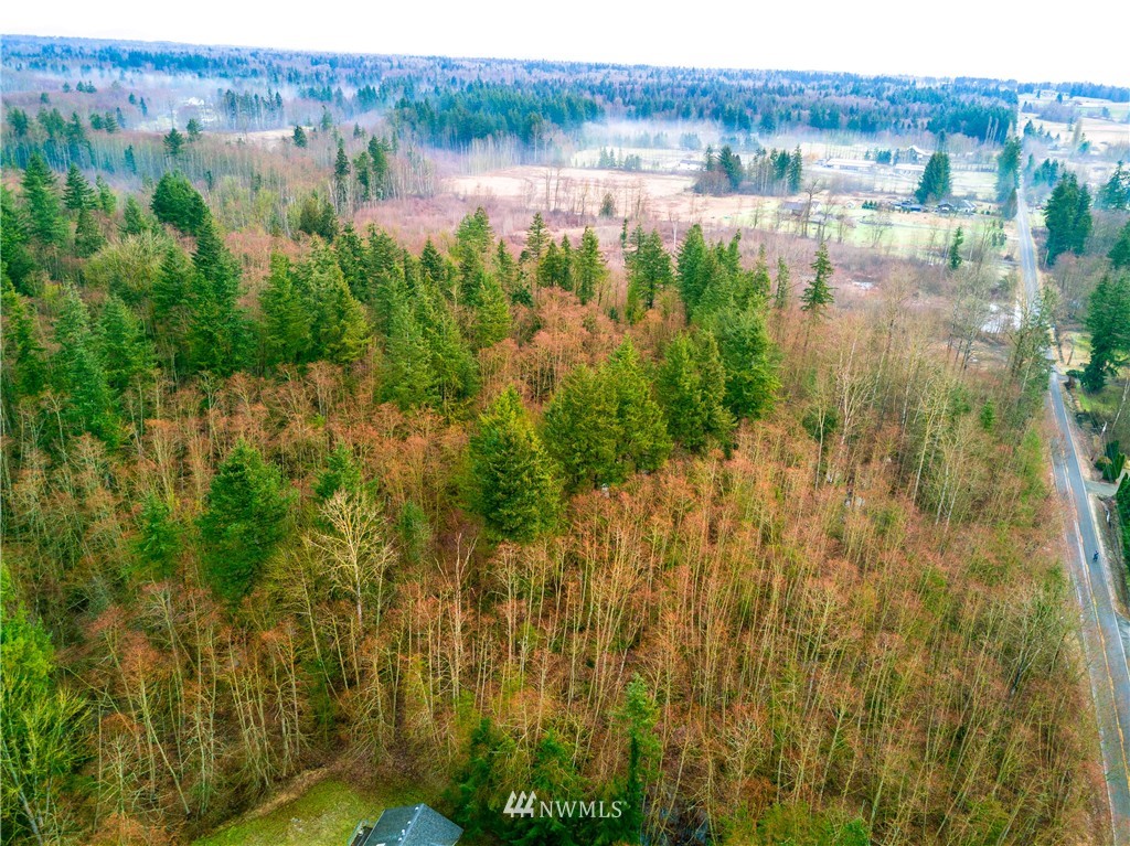 2340 Burk Road Blaine, WA 98230 - Photo 3 of 21 Gallery Image 3