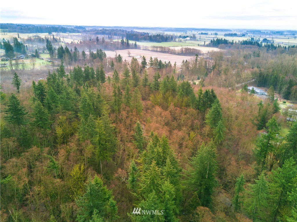 2340 Burk Road Blaine, WA 98230 - Photo 5 of 21 Gallery Image 5