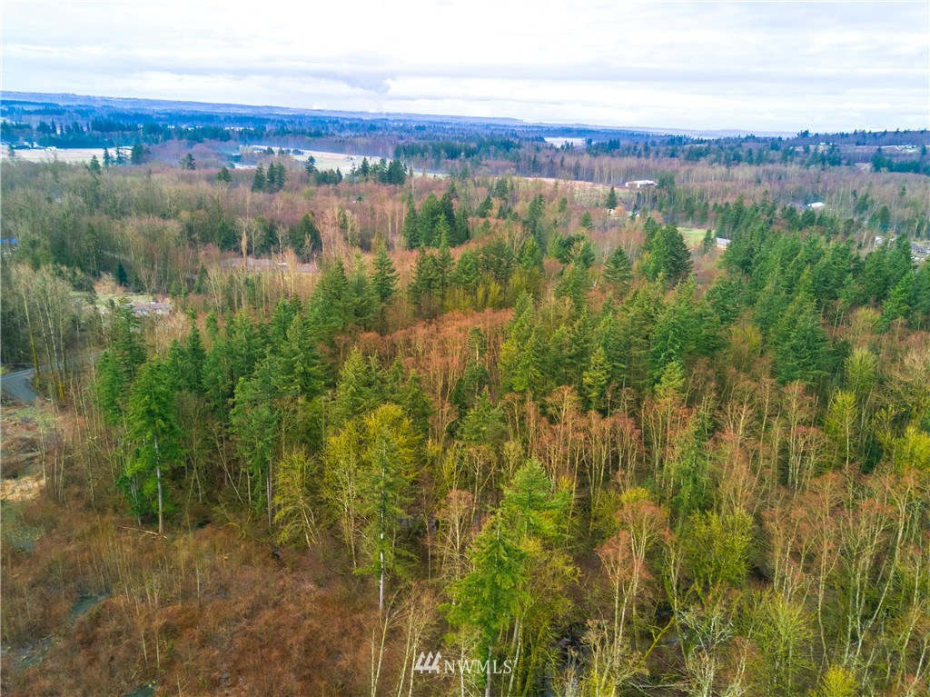 2340 Burk Road Blaine, WA 98230 - Photo 8 of 21 Gallery Image 8