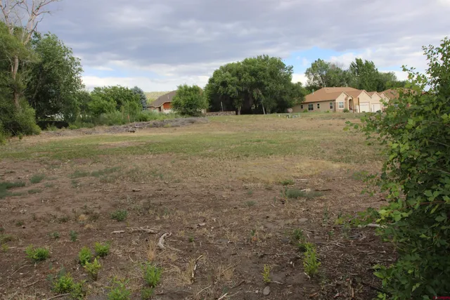 a view of a field with trees in background