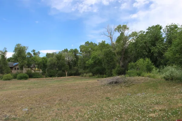 a view of outdoor space with trees all around