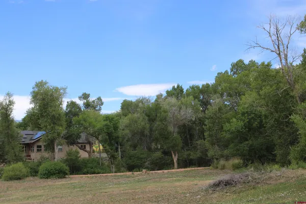 a view of a field with trees in the background