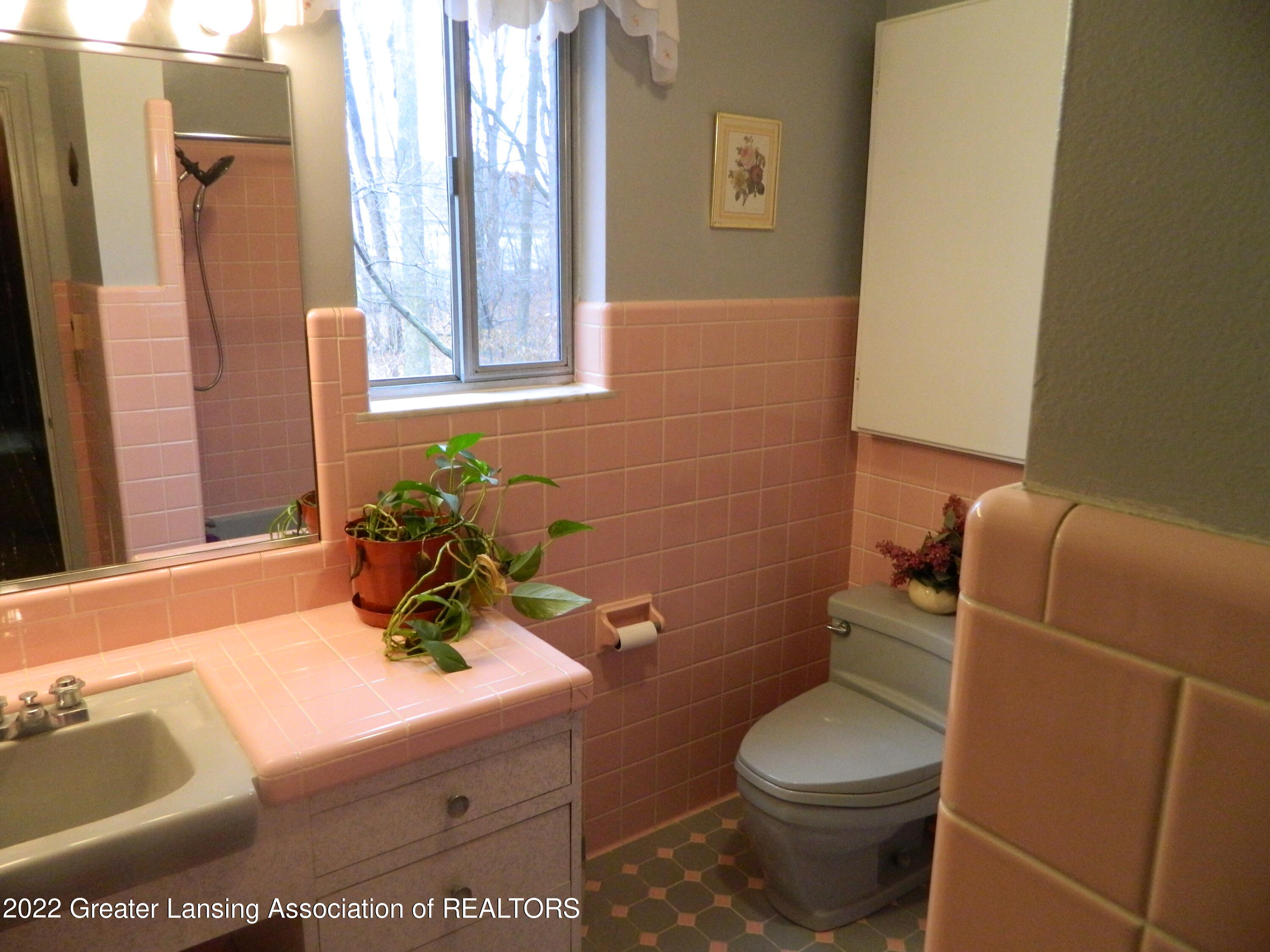 10755 Riverside Drive Dimondale, MI 48821 - Photo 22 of 50 DSCN5275