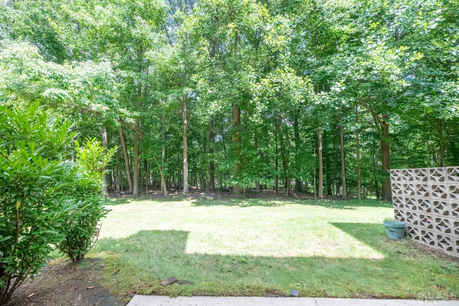 4602 Stonehedge Road Edison, NJ 08820 - Photo 82 of 87 a view of outdoor space with deck and yard