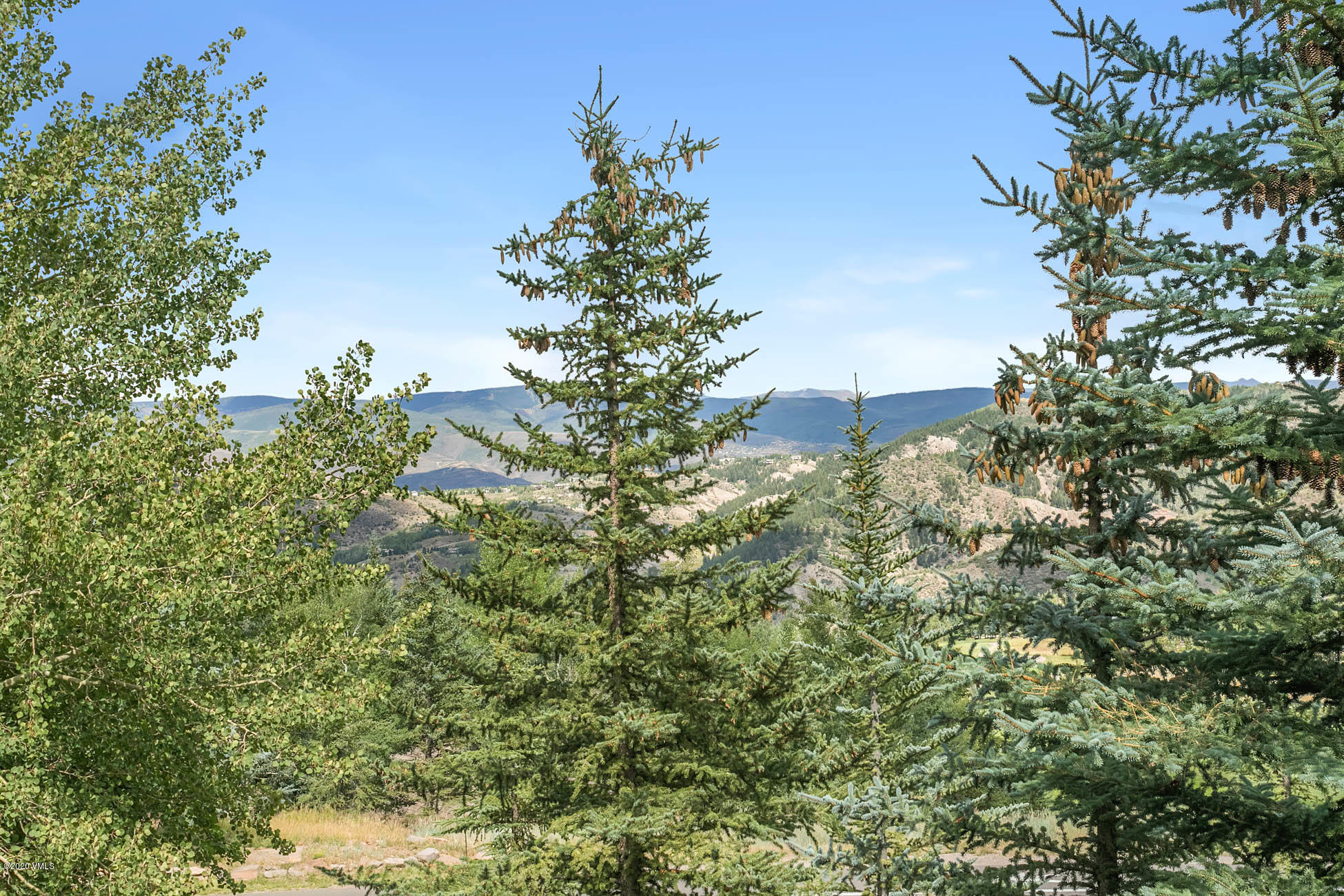 36 Fairway Lane Edwards, CO 81632 - Photo 9 of 37 a view of a plants with of a tree