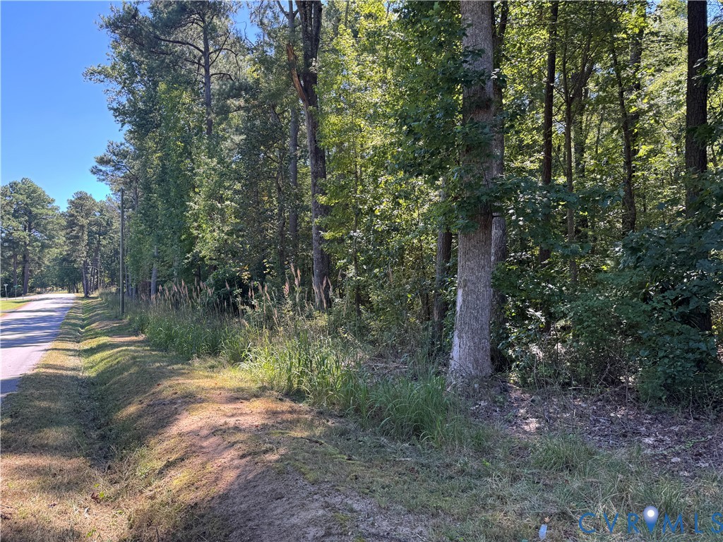 0 Virginia Avenue Alberta, VA 23821 - Photo 2 of 5 a view of a lake with green space
