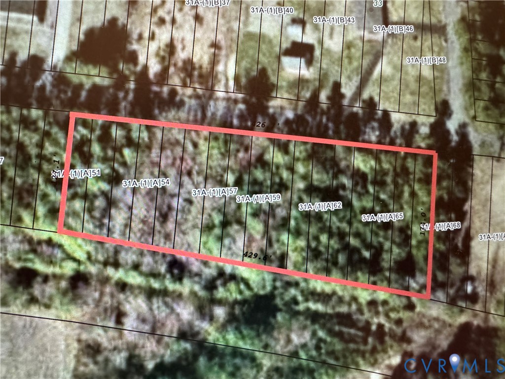 0 Virginia Avenue Alberta, VA 23821 - Photo 4 of 5