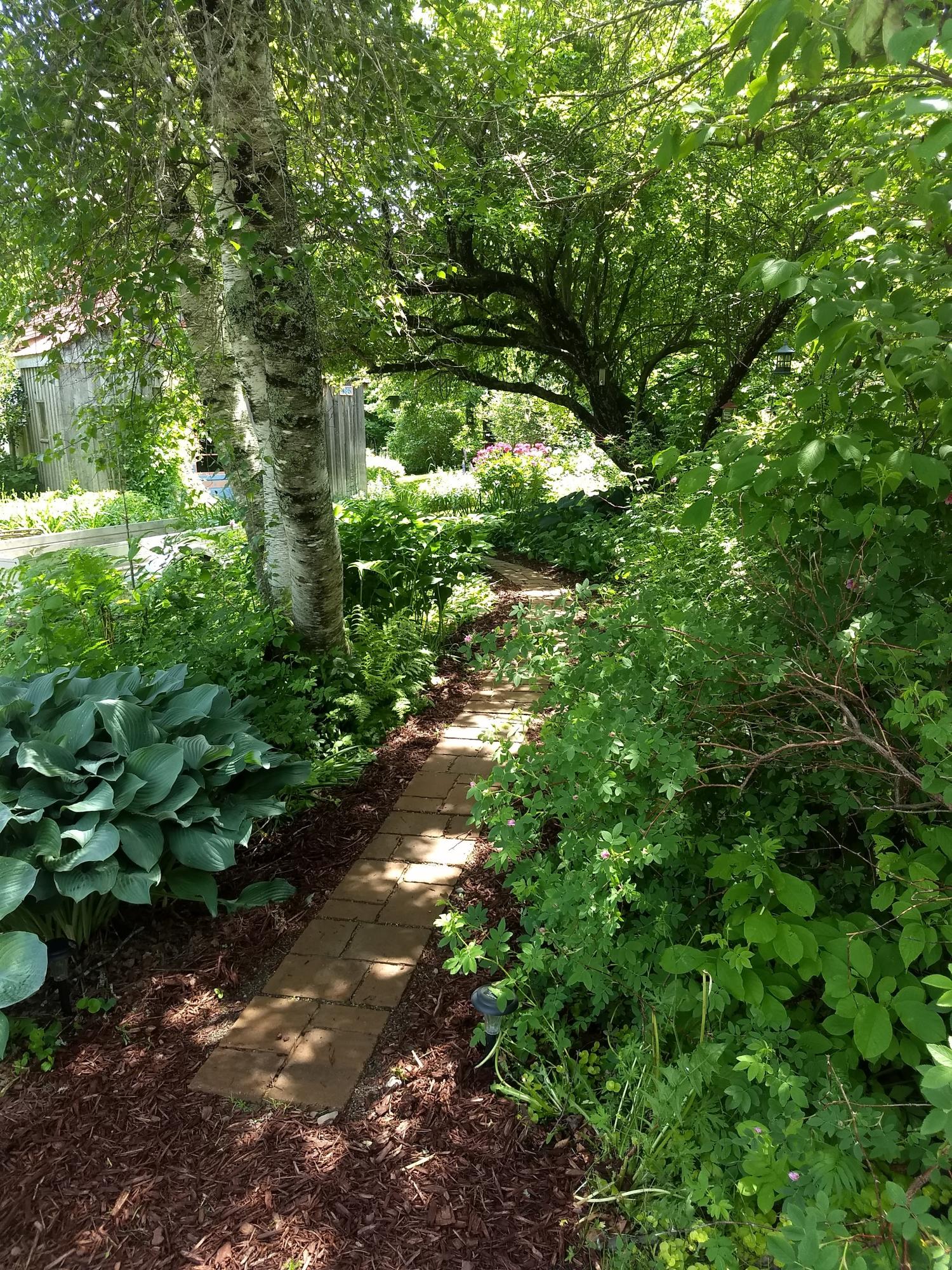 495 Wilcox Road Orient, ME 04471 - Photo 18 of 45 IMG_20190702_115657529