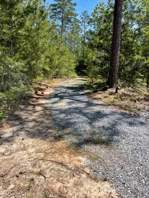 304 St James Road DeFuniak Springs, FL 32433 - Photo 15 of 37 a view of a yard with plants and trees