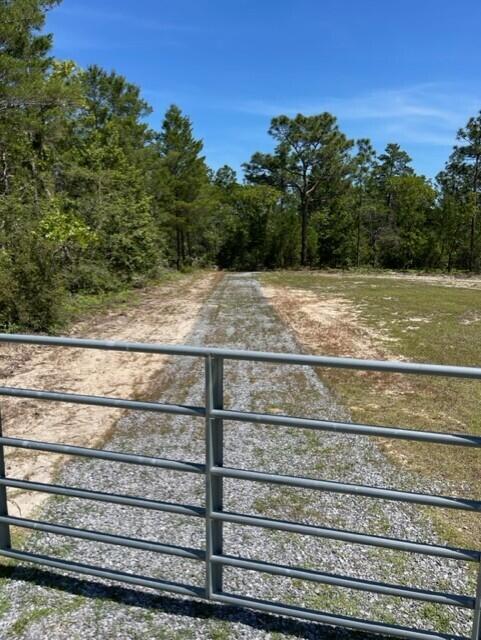 304 St James Road DeFuniak Springs, FL 32433 - Photo 16 of 37 a view of a yard