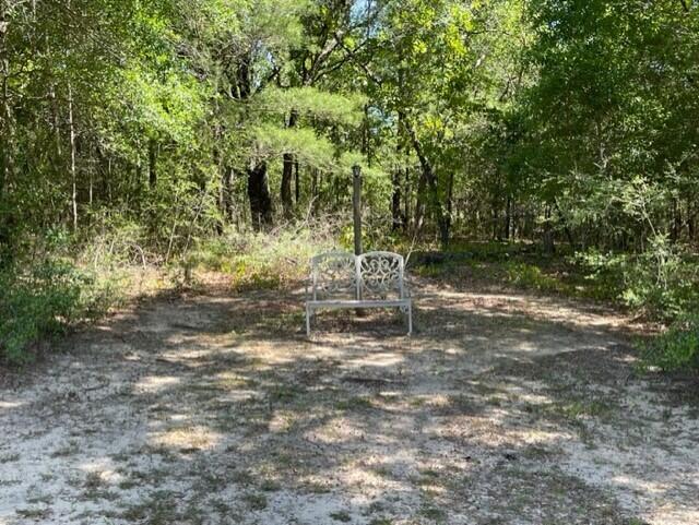 304 St James Road DeFuniak Springs, FL 32433 - Photo 27 of 37 a view of a yard with a tree